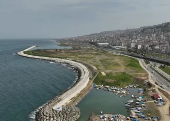 Gülcemal için bir araya geldiler, ortak akla vurgu yaptılar