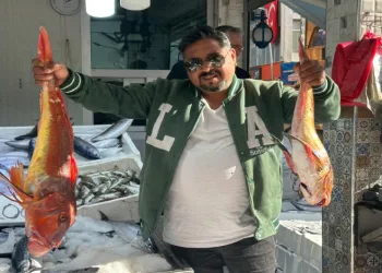 6 kilogramlık kırlangıç balığı