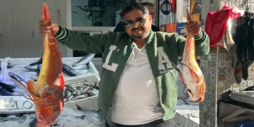 6 kilogramlık kırlangıç balığı