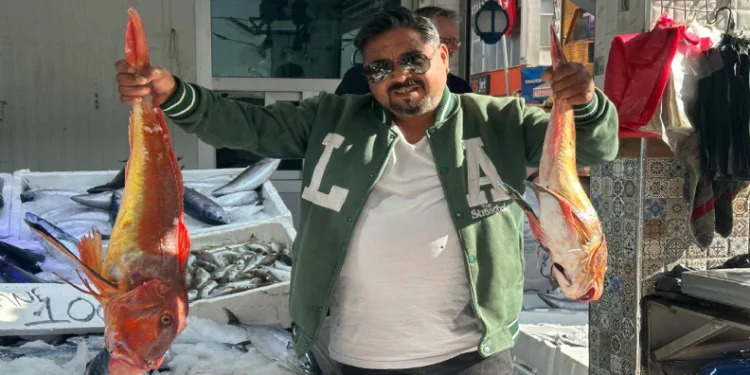 6 kilogramlık kırlangıç balığı