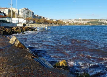 Poyraz fırtınası etkili oluyor: Kızıl yosunlar gelmeye devam ediyor