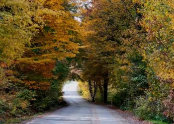 Sonbaharda göz kamaştırıyor