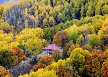 Tunceli’de sonbaharın renkleri