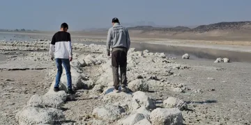 Bir zamanlar taşan Menderes şimdi suya hasret