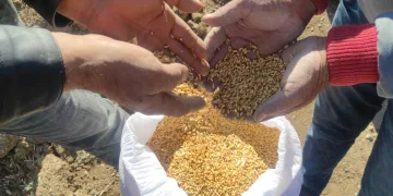 Tarım çalışmaları çevre illerin ilgisini çekiyor