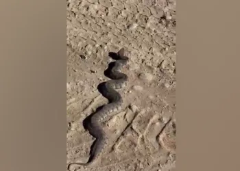 3 yılda 225 tondan fazla atık toplandı