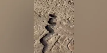 3 yılda 225 tondan fazla atık toplandı