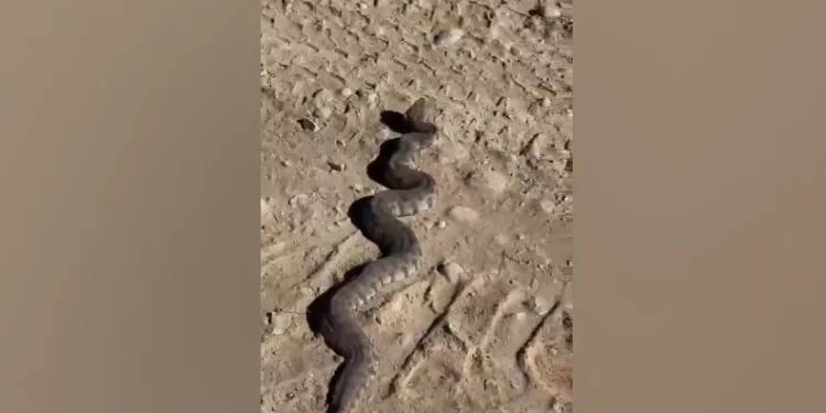 3 yılda 225 tondan fazla atık toplandı