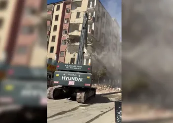 Dev yılanı görenler neye uğradıklarını şaşırdı