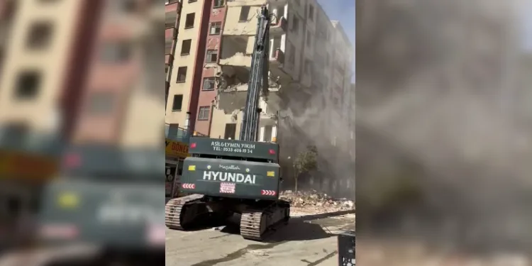 Dev yılanı görenler neye uğradıklarını şaşırdı