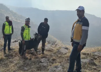 Uçurumda mahsur kalan keçiyi ekipler kurtardı