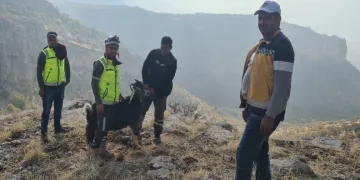 Uçurumda mahsur kalan keçiyi ekipler kurtardı