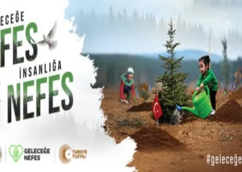 Muğla’da binlerce fidan geleceğe nefes olacak