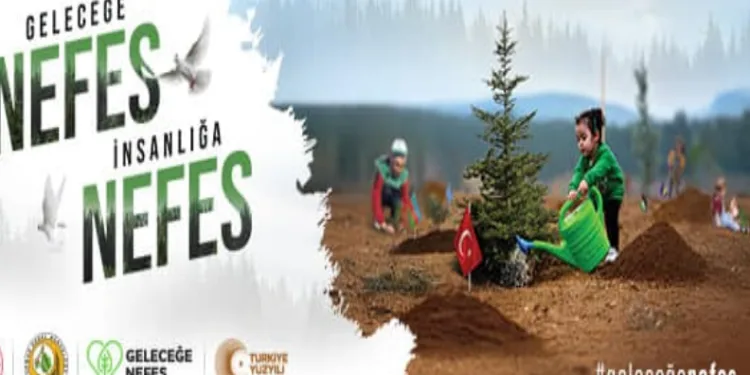 Muğla’da binlerce fidan geleceğe nefes olacak