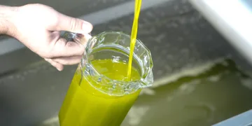 Zeytinyağı alırken dikkat