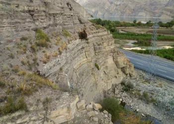Tortum Gölü yaban hayata ev sahipliği yapıyor