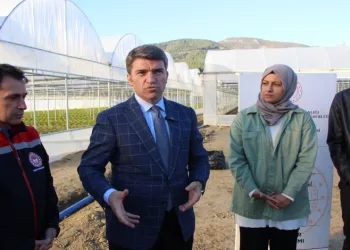 “Yazık günah, bu milli servet”