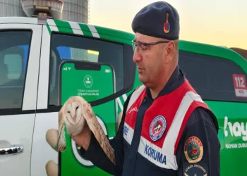 Bu bina görenleri kendine hayran bırakıyor