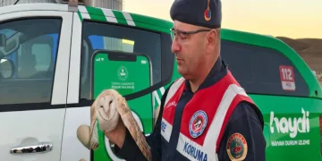 Bu bina görenleri kendine hayran bırakıyor