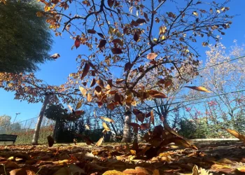 Kanlıkavak Park manzarası mest etti