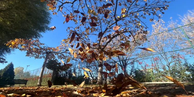 Kanlıkavak Park manzarası mest etti