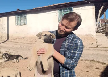 Yavru köpeğe heimlich müdahalesi