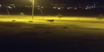 6 uyuşturucu satıcısı tutuklandı