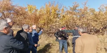 Kurt köpeği tuzağa çekti