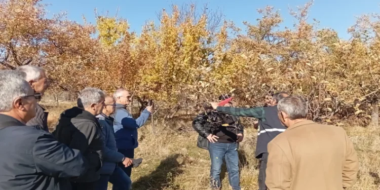 Kurt köpeği tuzağa çekti