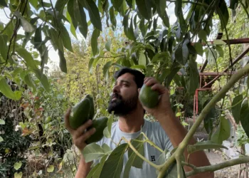 Göl, yerini çöl manzarasına bıraktı