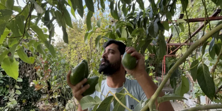Göl, yerini çöl manzarasına bıraktı