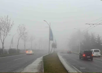 Kent ormanı, sonbahar renklerine büründü