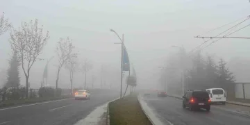 Kent ormanı, sonbahar renklerine büründü