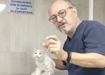 Zirveden kartpostallık görüntüler