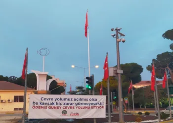 Azap Gölü’nün şansı, tepeli pelikanlar