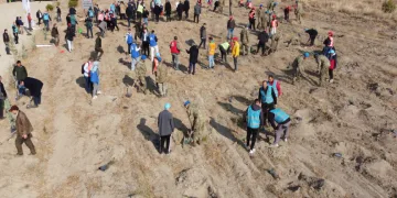 Fidanlar toprak ile buluştu