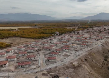 Bolu’da parklara kadın eli değdi