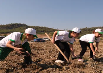 Milli Ağaçlandırma Günü’nde 22 bin fidan