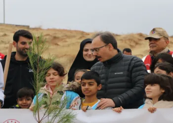 Siirt’te 2 bin 500 fidan toprakla buluştu