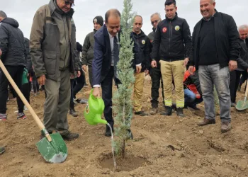 Siirt’te 2 bin 500 fidan toprakla buluştu