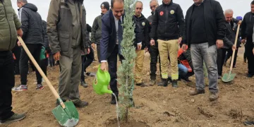Siirt’te 2 bin 500 fidan toprakla buluştu