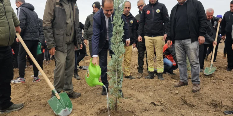 Siirt’te 2 bin 500 fidan toprakla buluştu