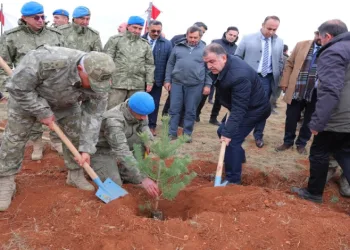 Geleceğe nefes için fidan dikildi