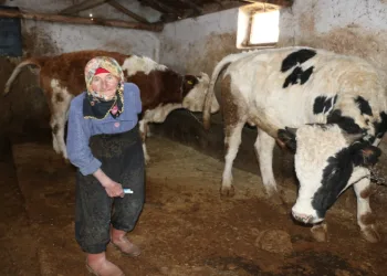 79 yaşındaki kadının hayat mücadelesi