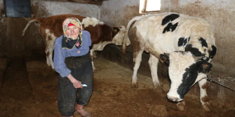 79 yaşındaki kadının hayat mücadelesi