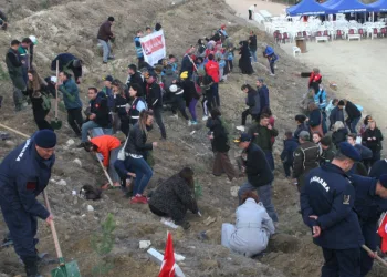 Şehitler Ormanı için 1111 adet fidan