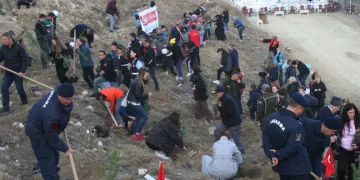 Şehitler Ormanı için 1111 adet fidan