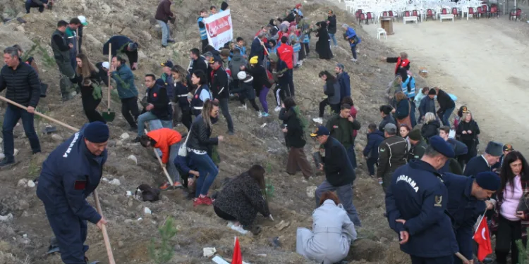 Şehitler Ormanı için 1111 adet fidan