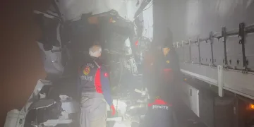 Sokak hayvanlarının bulunması için dijital destek