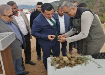 Karbon zengini tohumlar toprakla buluşturuldu